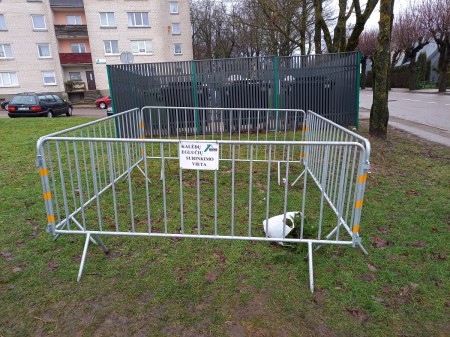 Raseiniuose bus surenkamos kalėdinės eglutės 