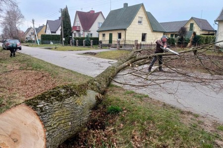 Kovo mėnesio darbai Raseinių rajono seniūnijose – nuo pavasarinio tvarkymosi iki bendruomeniškų iniciatyvų
