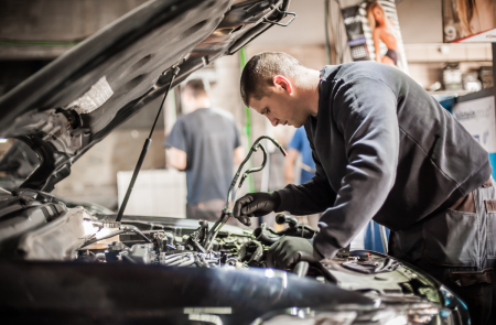 Automobilių tvarkymas be pasekmių gamtai – nauja svetainė apsaugos ir aplinką, ir jūsų sąžinę
