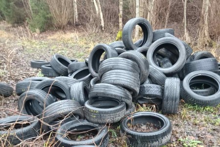 Miškuose paliktų padangų kaina: nuo žalos aplinkai iki baudų teršėjams