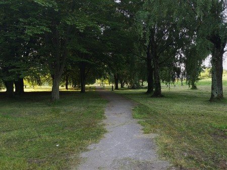 Ariogaloje įrengiamas D. Rudzinsko g. pėsčiųjų takas