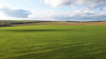 Priminimas žemės savininkams – būtina tinkamai prižiūrėti valdomus žemės sklypus