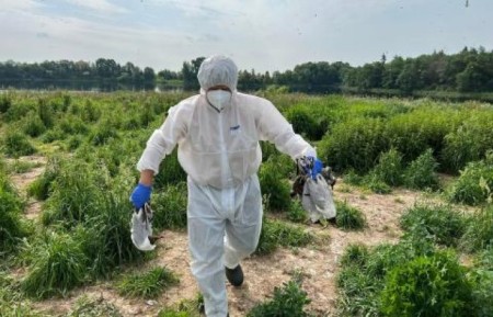 Dėmesio! Valstybinė maisto ir veterinarijos tarnyba informuoja