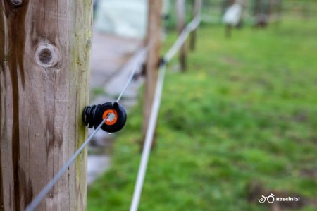 Komisija patvirtino paraiškas dėl gyvūnų daromos žalos prevencinių priemonių diegimo