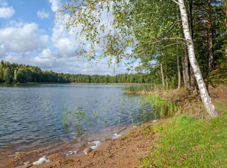 Poilsiaudami prie vandens telkinių nepamirškime saugumo