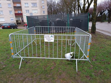 Raseiniuose bus surenkamos kalėdinės eglutės 