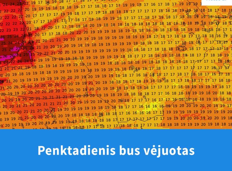 Penktadienį numatomas stiprus vėjas – pasirūpinkime saugumu
