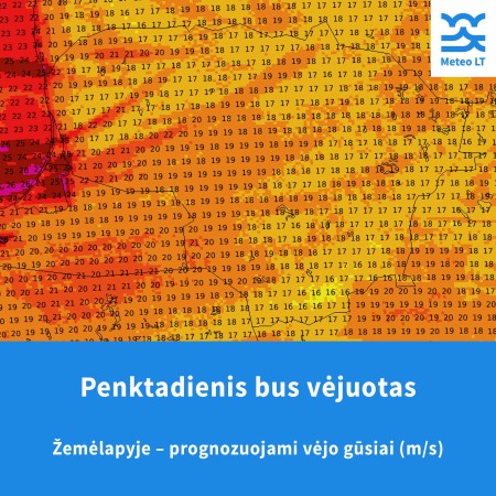 Penktadienį numatomas stiprus vėjas – pasirūpinkime saugumu