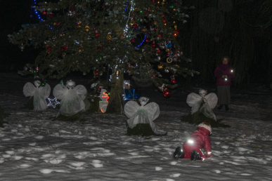 0002_bert2_1639574187-ecbe11fc44bdaf62cb433542e400b343.jpg