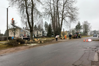 0003_4d3b4d3f-41b2-47bf-aeab-b72c1ea3f3d3_1744100000-5968b5a4d8afd1a69eac4cb9b46c9f29.jpeg