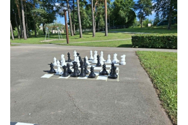 0005_sachmatai_1785911419-8e0f6daa7a27ffa130e1f8295e103dc2.jpg