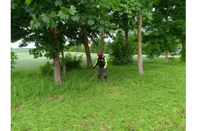 0008_tvarkoma-aplinka_1785911419-f31310b8810b6615029c51c5dd2eea5d.jpg