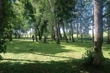 0024_pjaunama-zole-slabados-k_1751378684-2e15c8dbb41c7242be94b7ce3b079399.jpg
