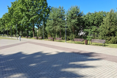 0026_suoliukai-1_1751378685-667fff047d313dc7b1568be44fff1dee.jpeg