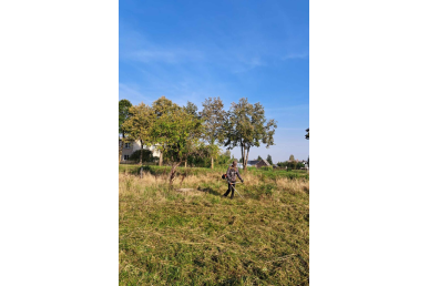 0036_intensyviai-priziurimi-betygalos-sen-zalieji-plotai-dirbami-ir-kiti-smulkus-darbai-gatviu-papludimiu-prieziura_1727939620-d41b0ae1432ab670864b47e7b07e9658.jpg